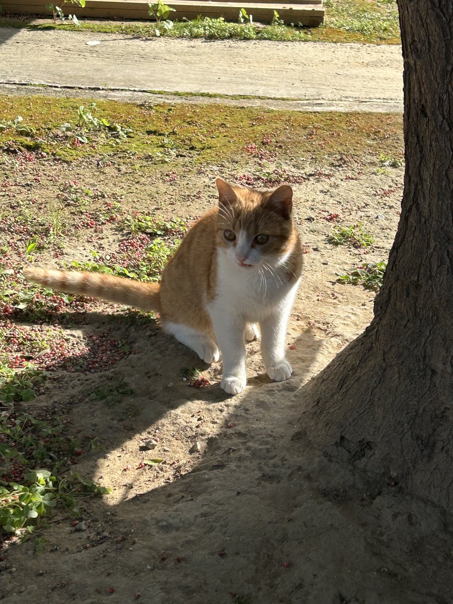 levdot's tweet image. just went for a swim feeling #refreshed 🏝️ 🏊‍♂️