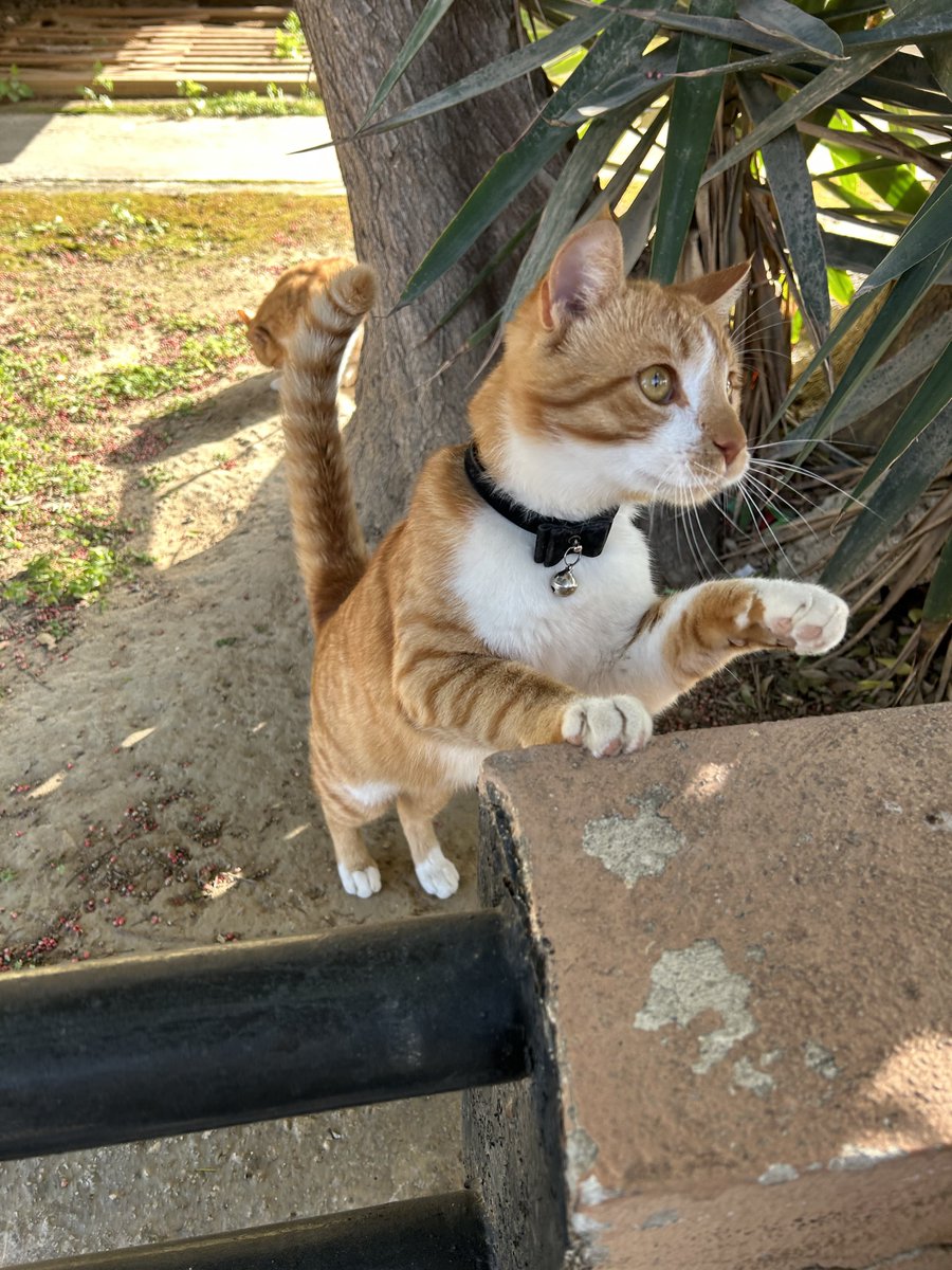 levdot's tweet image. just went for a swim feeling #refreshed 🏝️ 🏊‍♂️