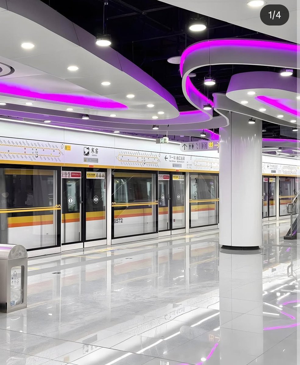 Don Gato tweet media