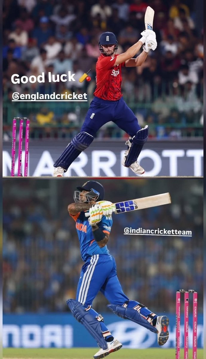 Anvi 🦚 tweet media