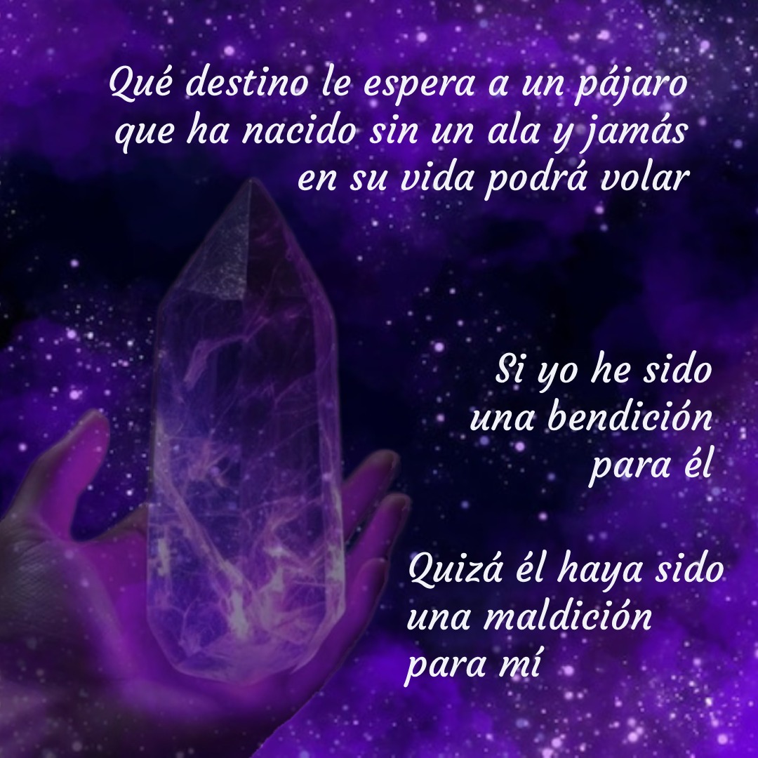 SuspirandoLibros tweet media