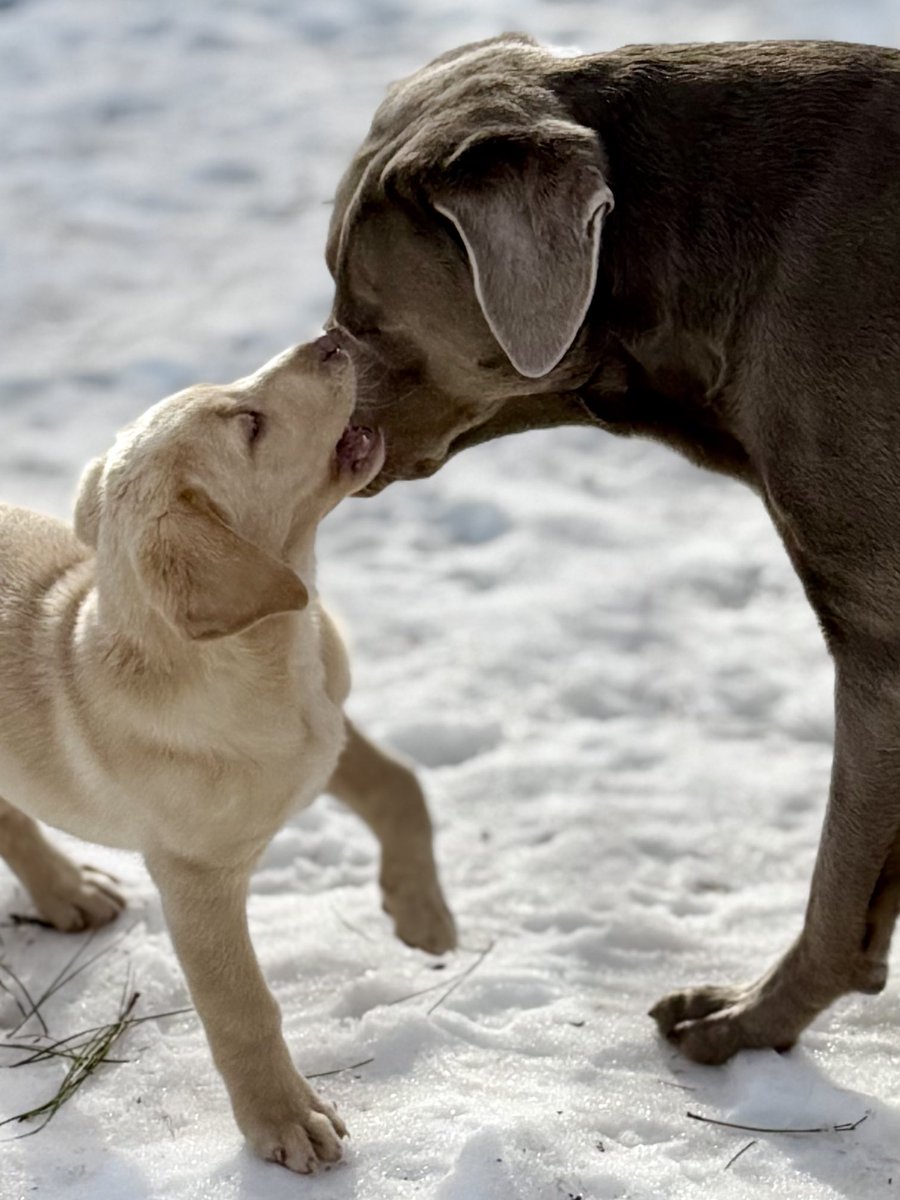 Jackson & Abbey tweet media