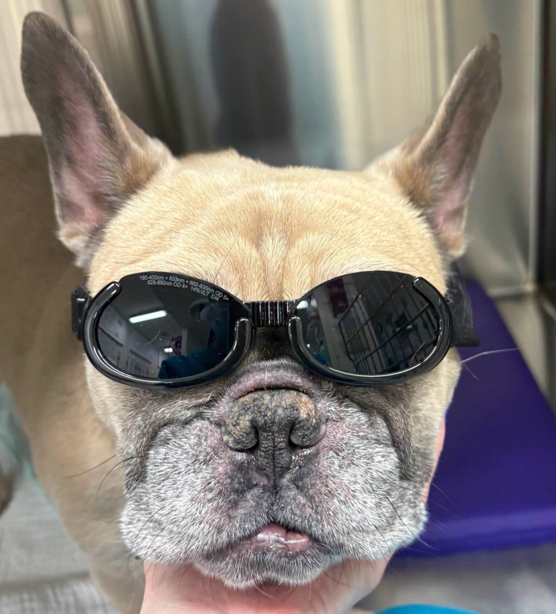 Modulight Corporation tweet media