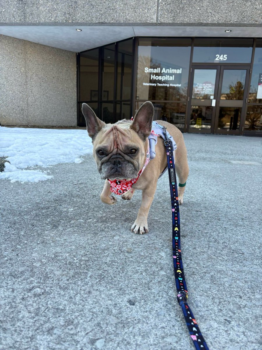 Modulight Corporation tweet media