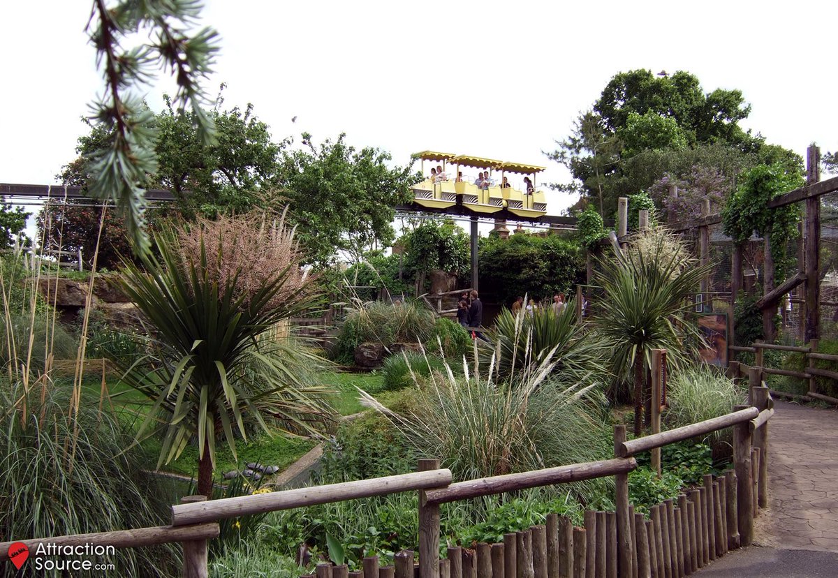 Attraction Source tweet media