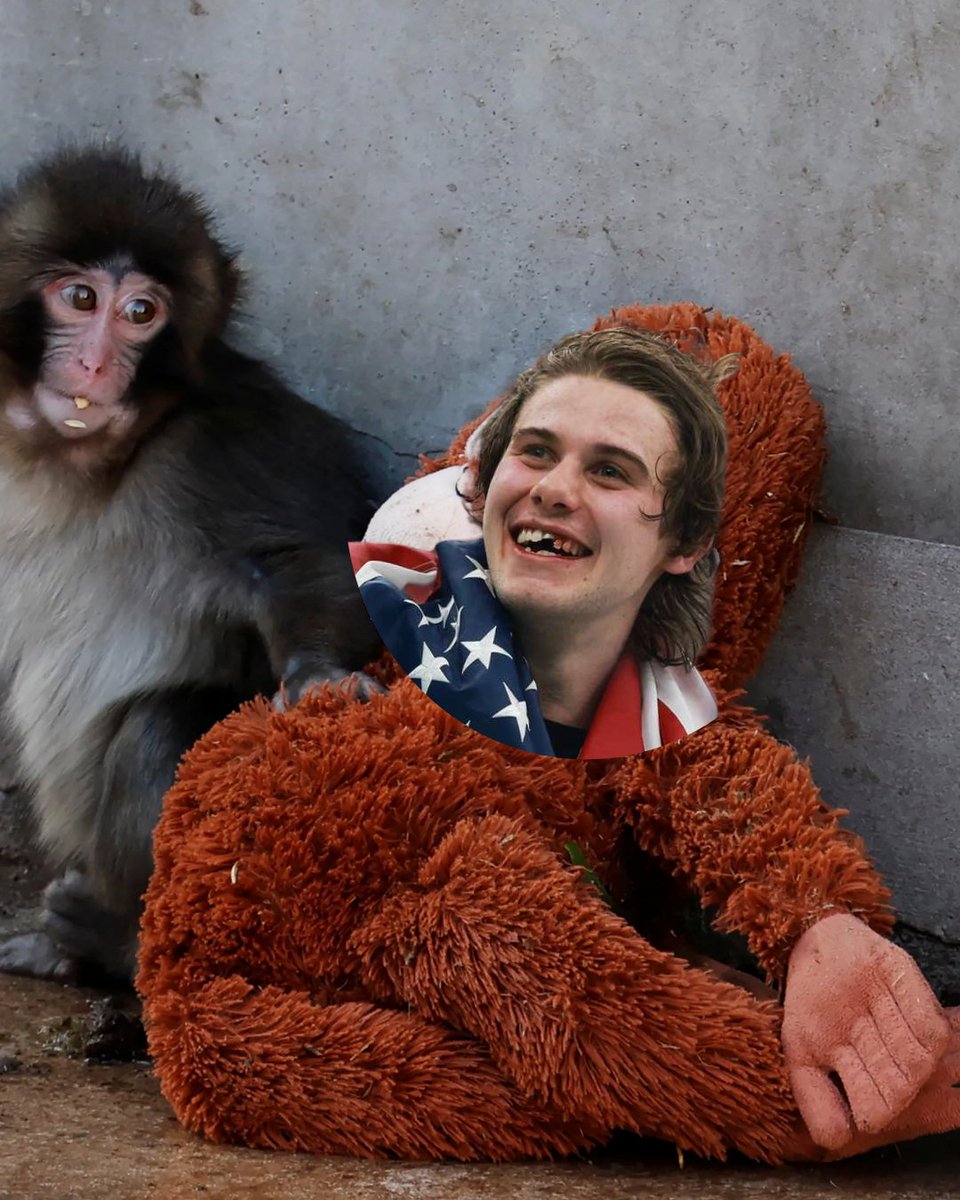 Seton Hall Alumni tweet media