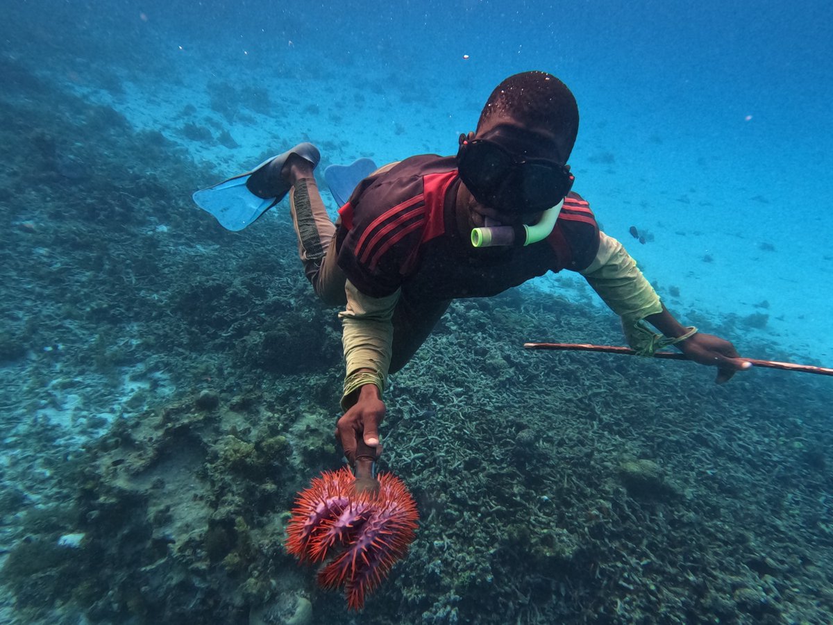 Catalytic Climate Finance Facility tweet media