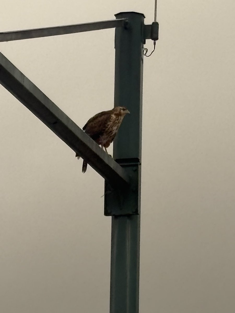 𝒱𝒶𝓁𝑒𝓃𝓉𝒾𝓃𝒶 🌻 tweet media