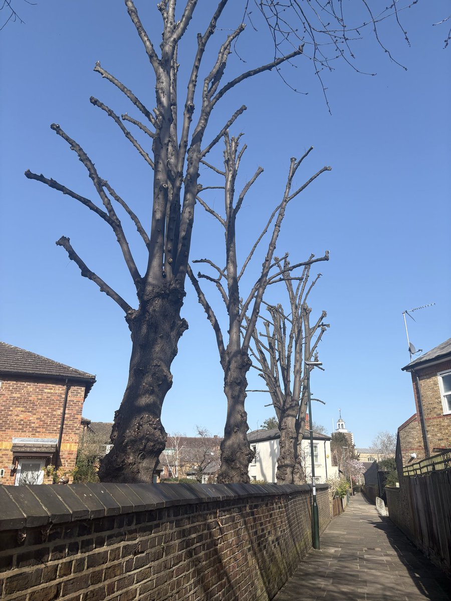 Gail Monahan tweet media