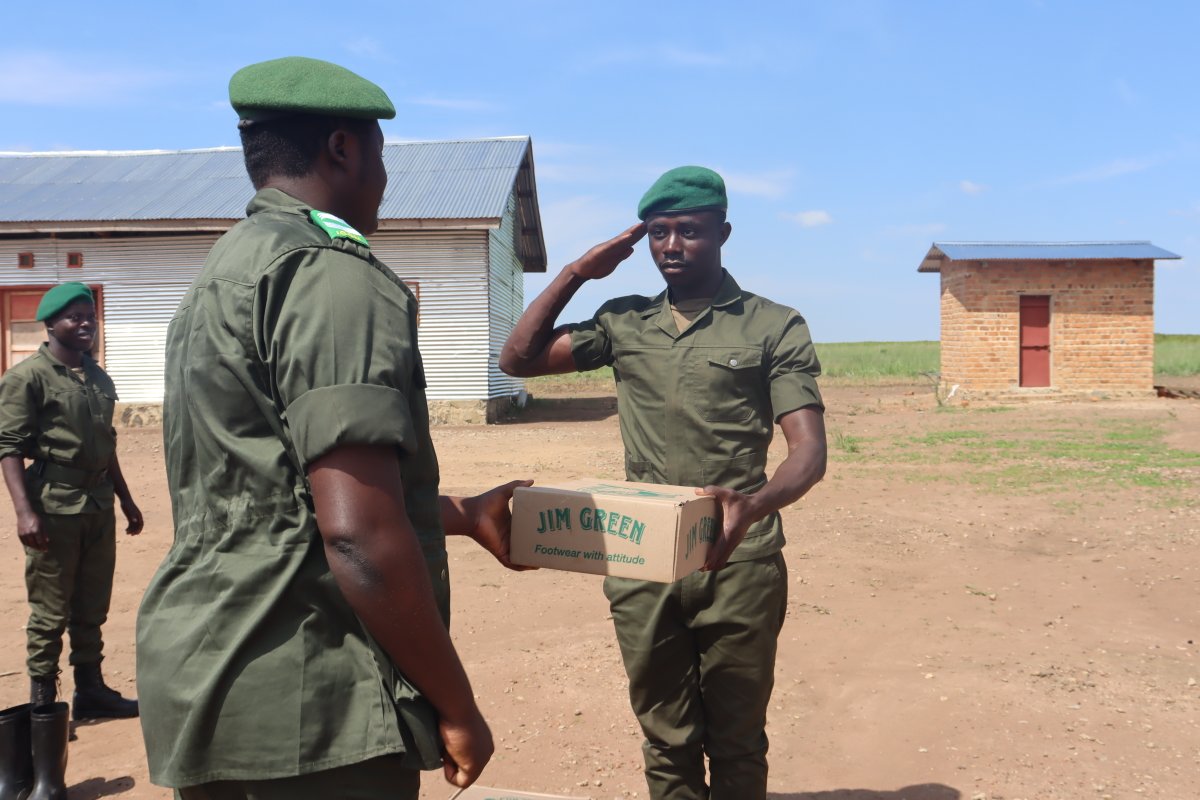 Jim Green Footwear 🐸 tweet media