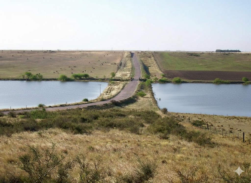 mminervino tweet media