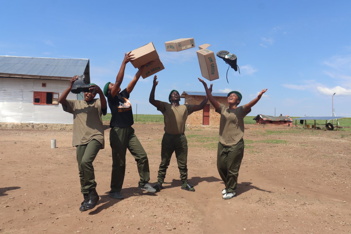 Jim Green Footwear 🐸 tweet media