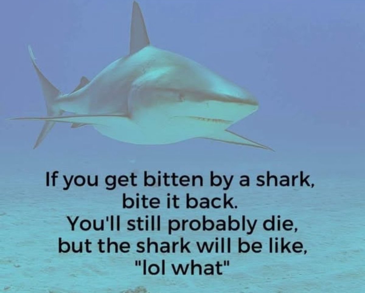 Out of Context Human Race (@nocontexthumans) on Twitter photo 