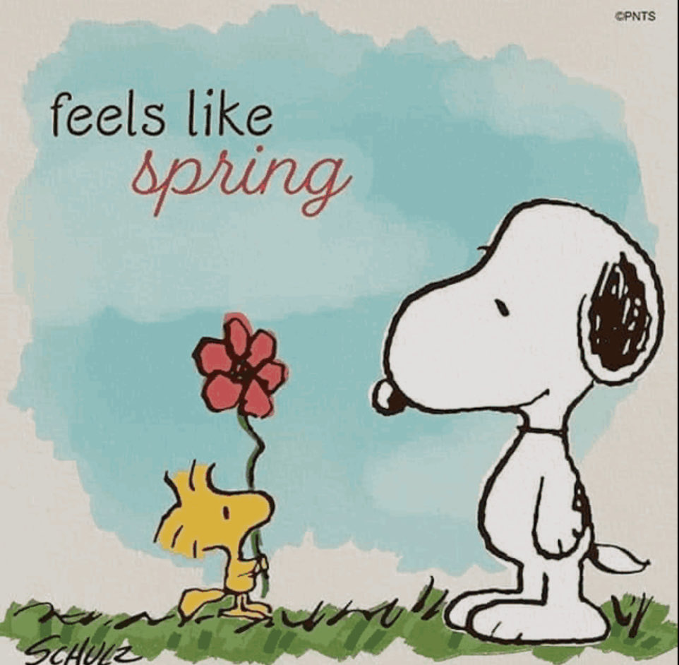 Michelle tweet media