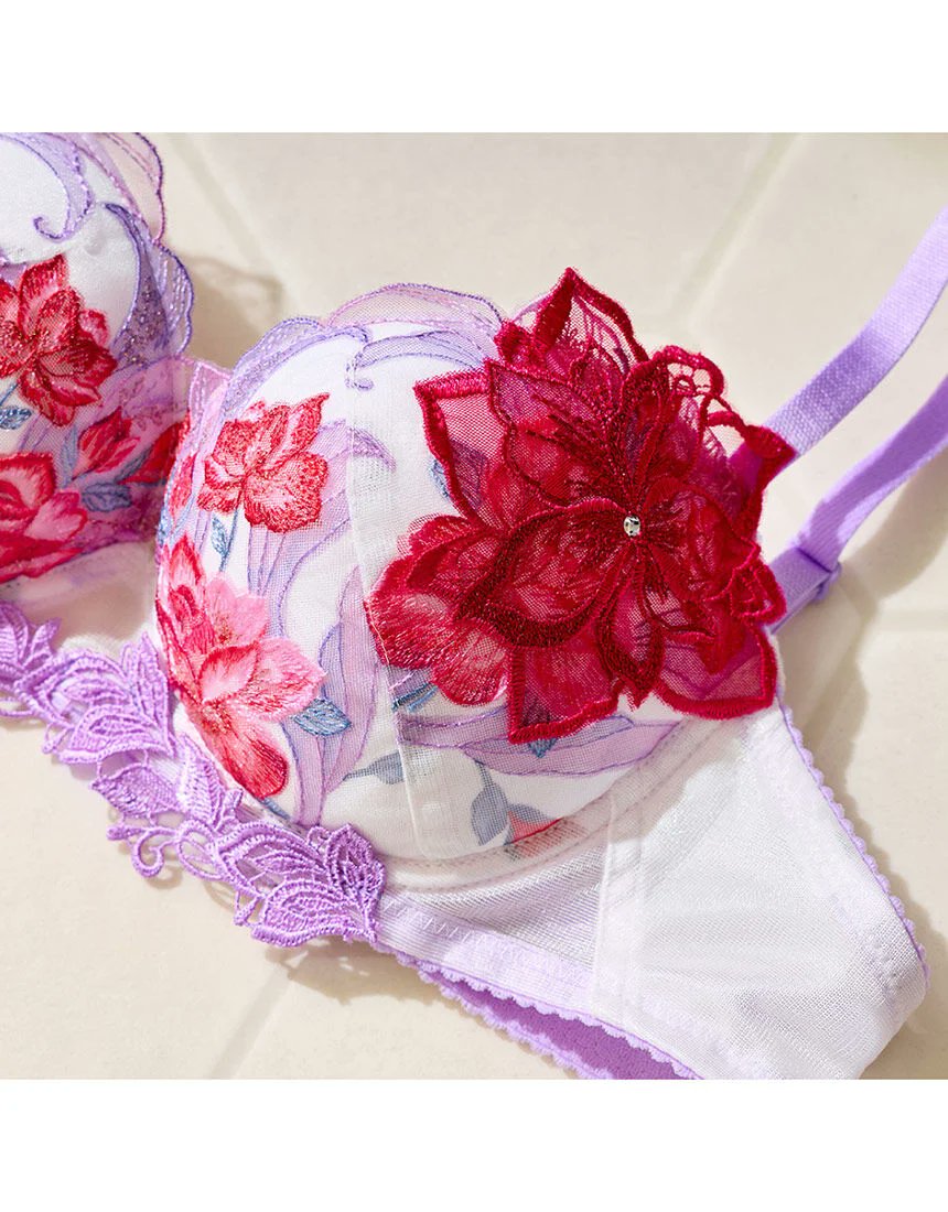 MontCorvo_Off's tweet photo. Nouvelle collection officielle de soutien gorge One Piece  x Salute https://t.co/ooys3ZpWWO