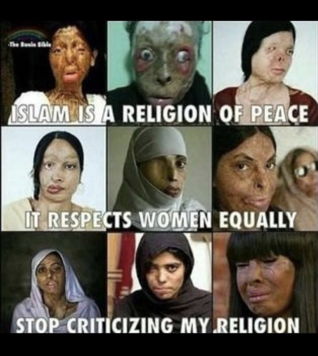 Stella Maris tweet media