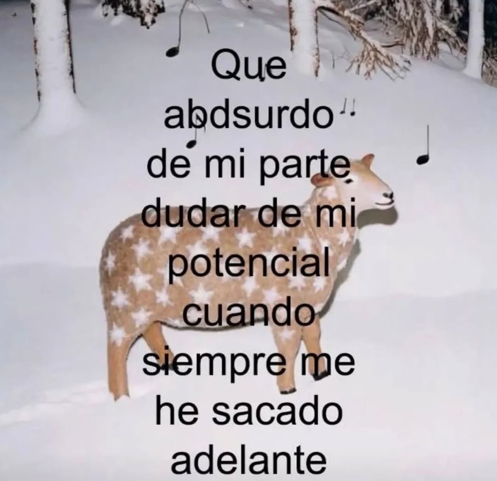 🌙 mini textos tweet media