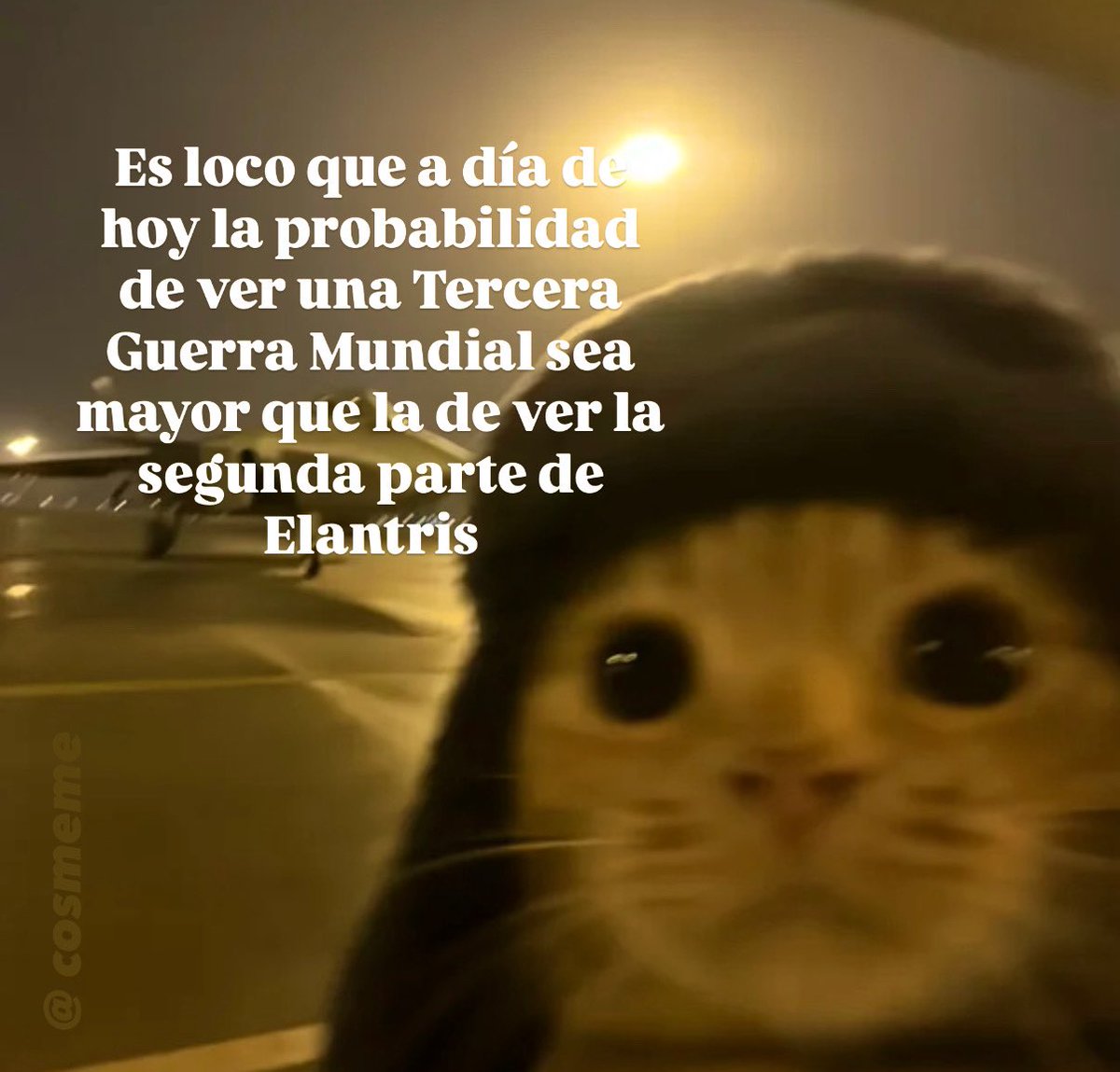 Memes Cosmere Español tweet media