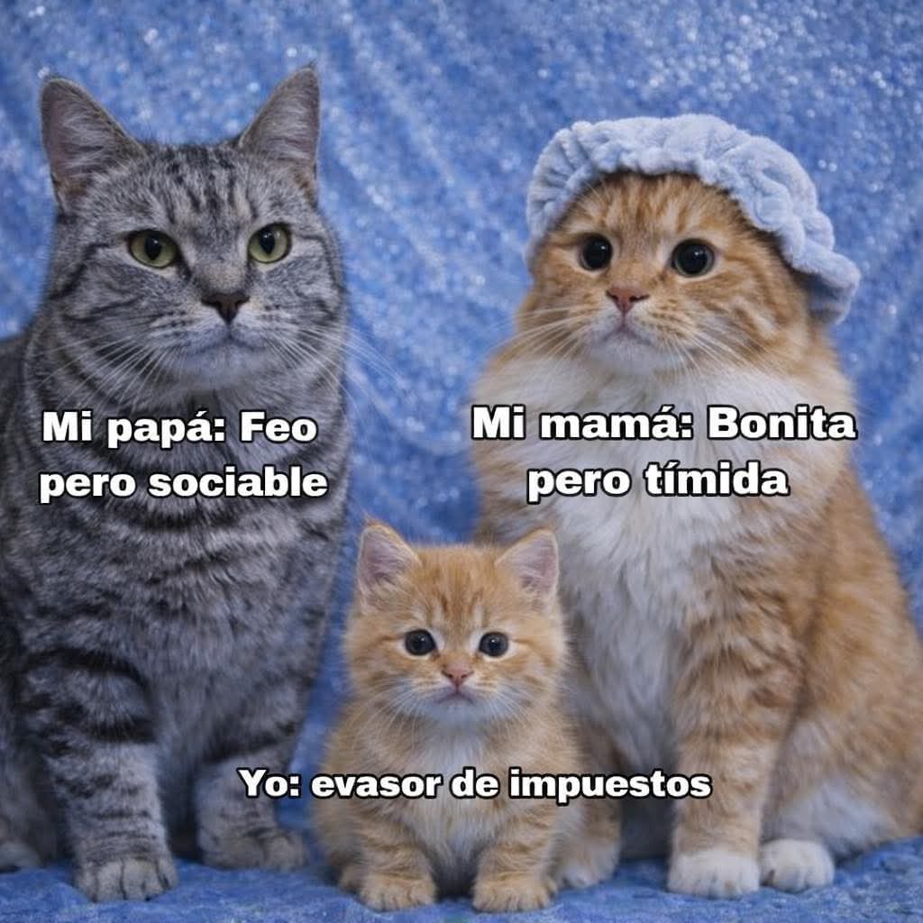Animalesaprieto's tweet photo. https://t.co/iVO5Qzatml