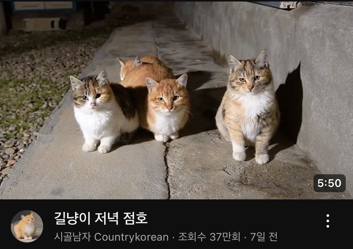 운영자 tweet media