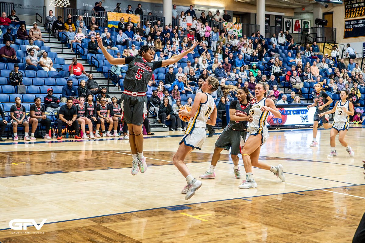 gameframevisuals tweet media