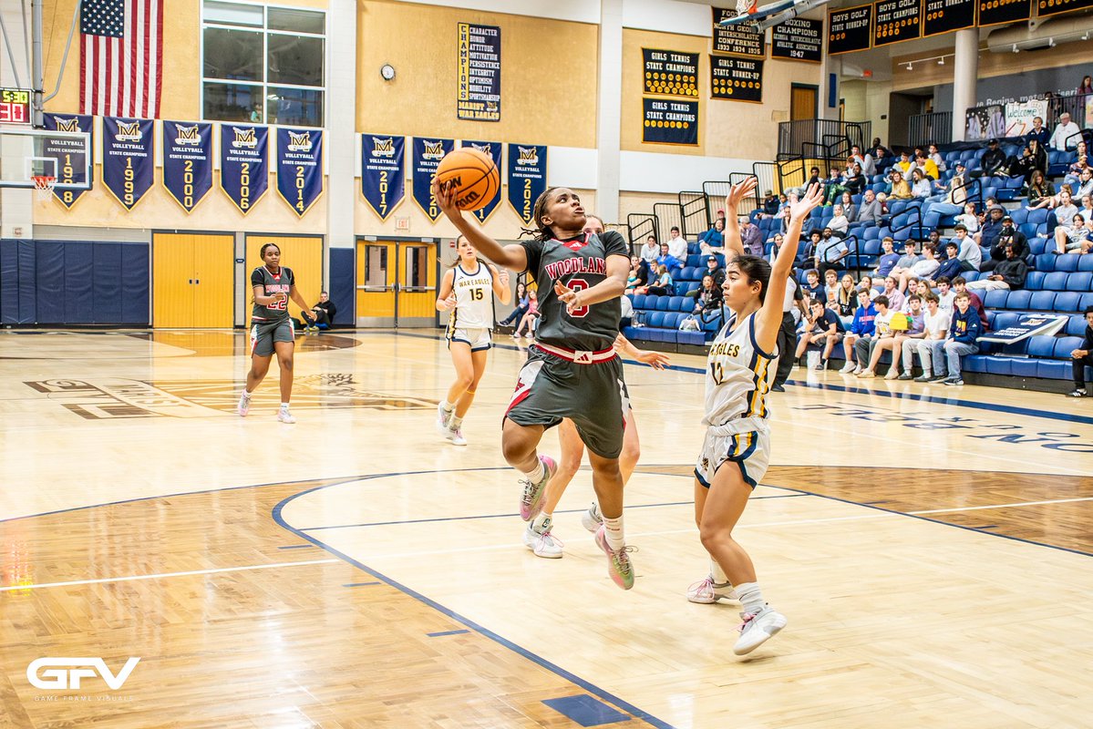 gameframevisuals tweet media