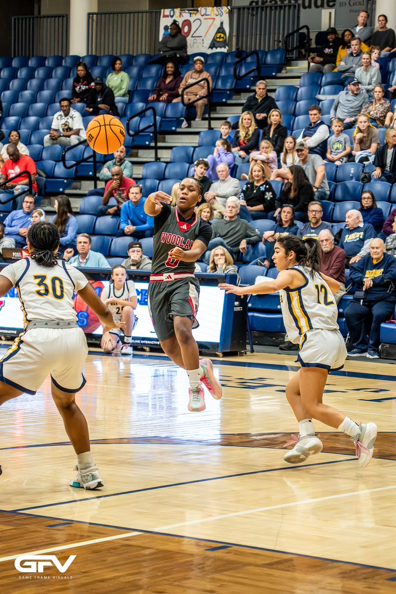 gameframevisuals tweet media