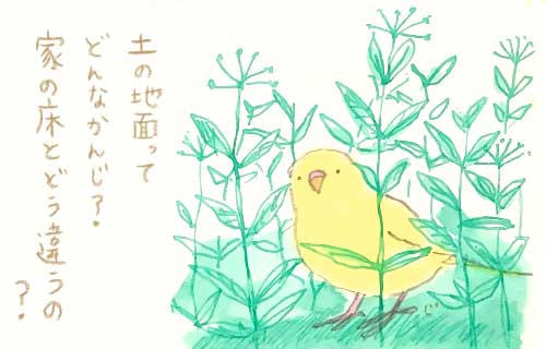 1日おきメモ（中原じゅん子） tweet media
