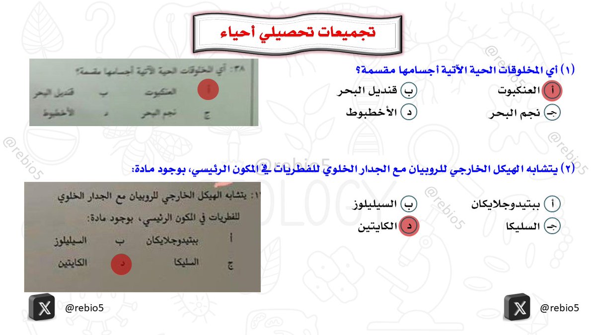 rebio5's tweet photo. أهم تجميعات تحصيلي (22) #التحصيلي_علمي #تحصيلي_أحياء #القدرات #الرخصة_المهنية_علوم #الرخصة_المهنية_أحياء #الرخصة_المهنية_للمعلمين_والمعلمات #تحصيلي_علمي #تحصيلي https://t.co/h62FjIqMsi