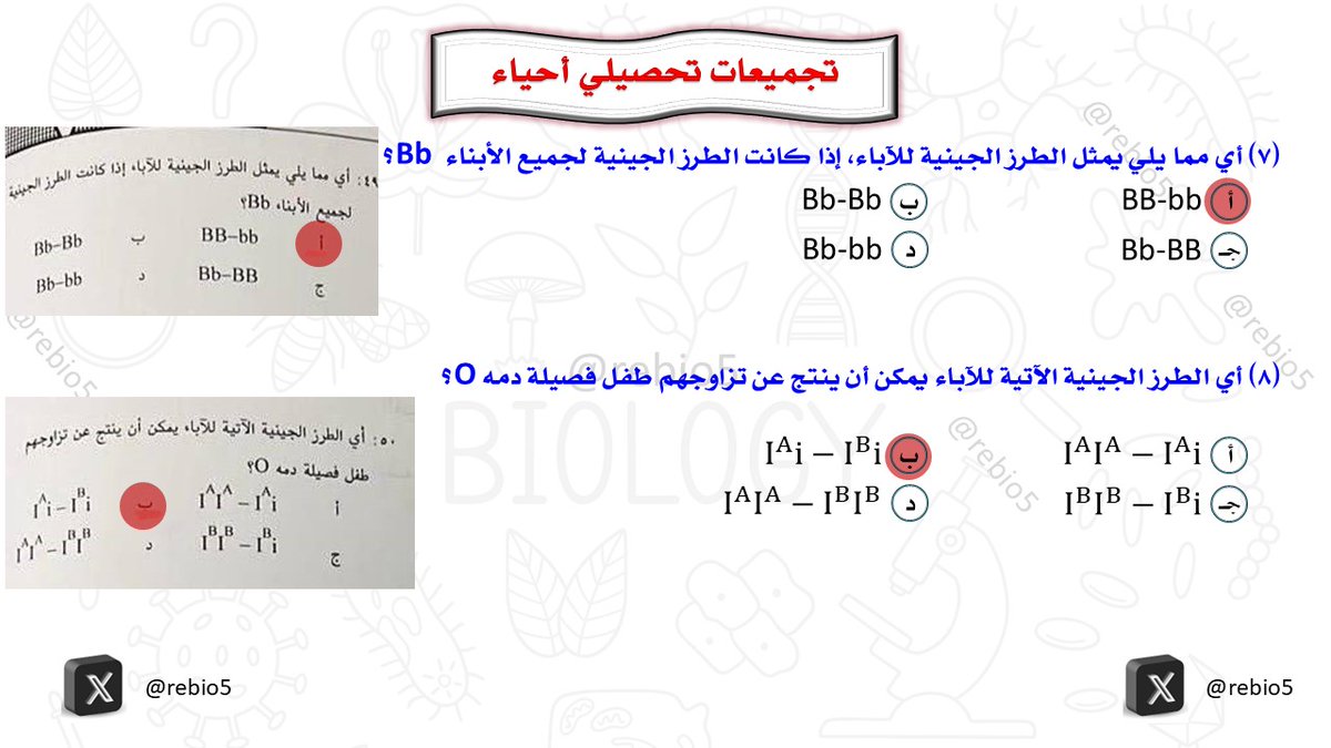 rebio5's tweet photo. أهم تجميعات تحصيلي (23) #التحصيلي_علمي #تحصيلي_أحياء #القدرات #الرخصة_المهنية_علوم #الرخصة_المهنية_أحياء #الرخصة_المهنية_للمعلمين_والمعلمات #تحصيلي_علمي #تحصيلي https://t.co/mPWHzOFvRw