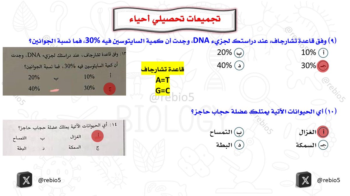 rebio5's tweet photo. أهم تجميعات تحصيلي (23) #التحصيلي_علمي #تحصيلي_أحياء #القدرات #الرخصة_المهنية_علوم #الرخصة_المهنية_أحياء #الرخصة_المهنية_للمعلمين_والمعلمات #تحصيلي_علمي #تحصيلي https://t.co/mPWHzOFvRw
