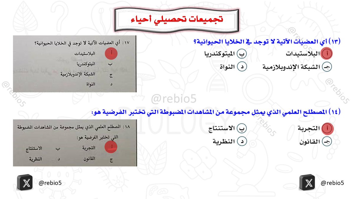 rebio5's tweet photo. أهم تجميعات تحصيلي (23) #التحصيلي_علمي #تحصيلي_أحياء #القدرات #الرخصة_المهنية_علوم #الرخصة_المهنية_أحياء #الرخصة_المهنية_للمعلمين_والمعلمات #تحصيلي_علمي #تحصيلي https://t.co/mPWHzOFvRw