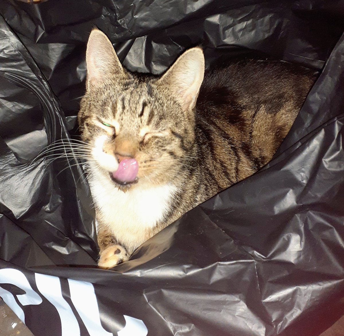 Death_by_Simpsons tweet media