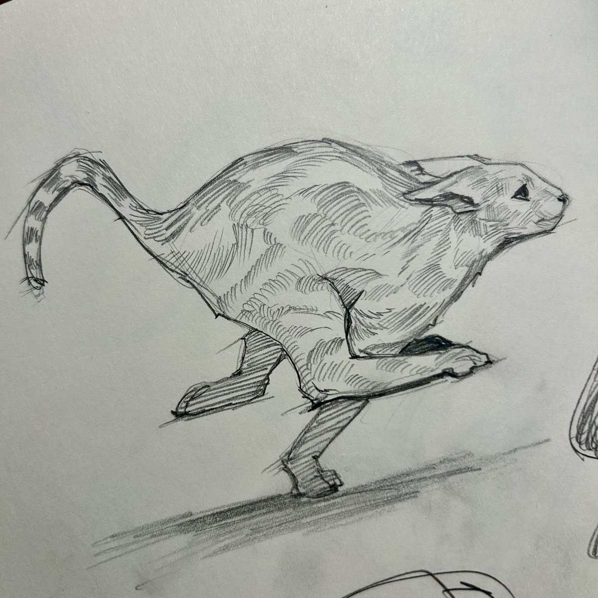 renitori tweet media