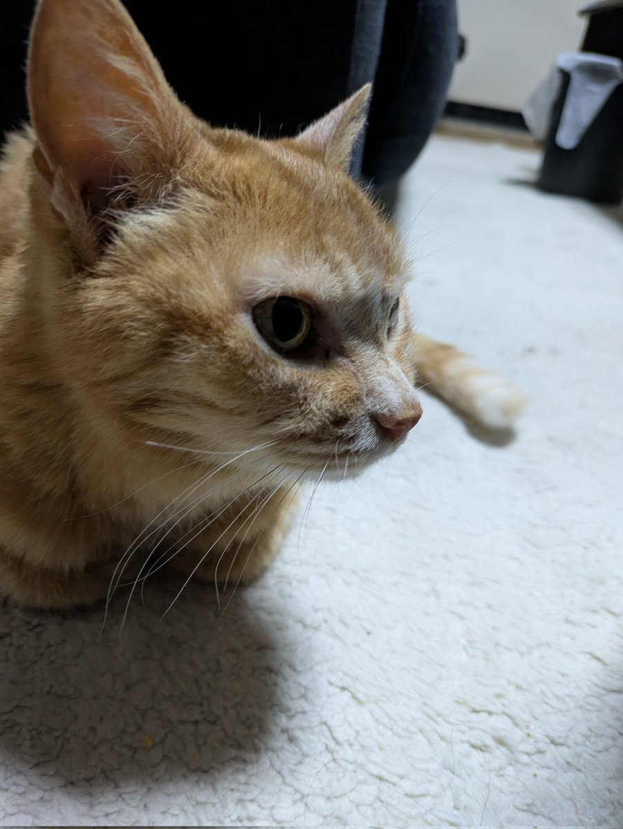 夜更かししてしまった🥱💤 明日はお休みだから ゆっくり寝かせて貰い