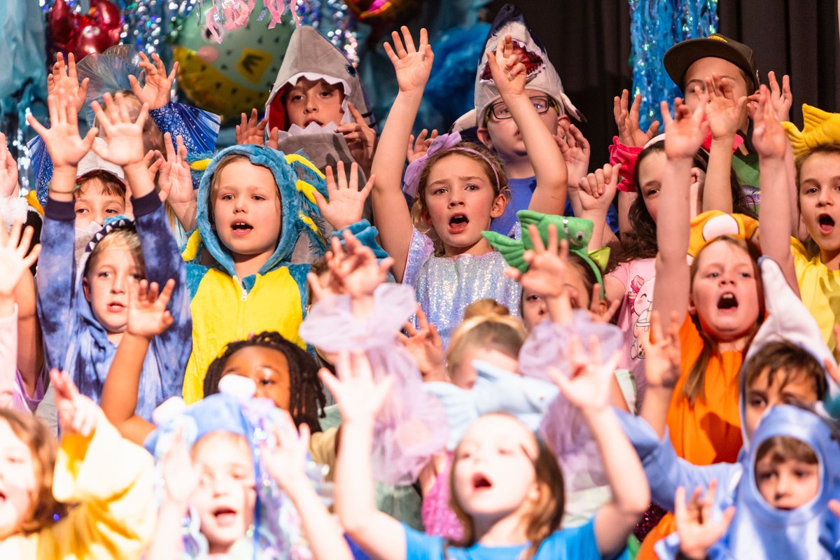 The Brook Hill School tweet media