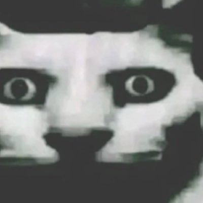 Mosta team 🇺🇾 tweet media