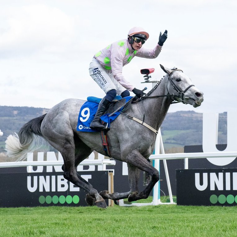 Racing Post tweet media