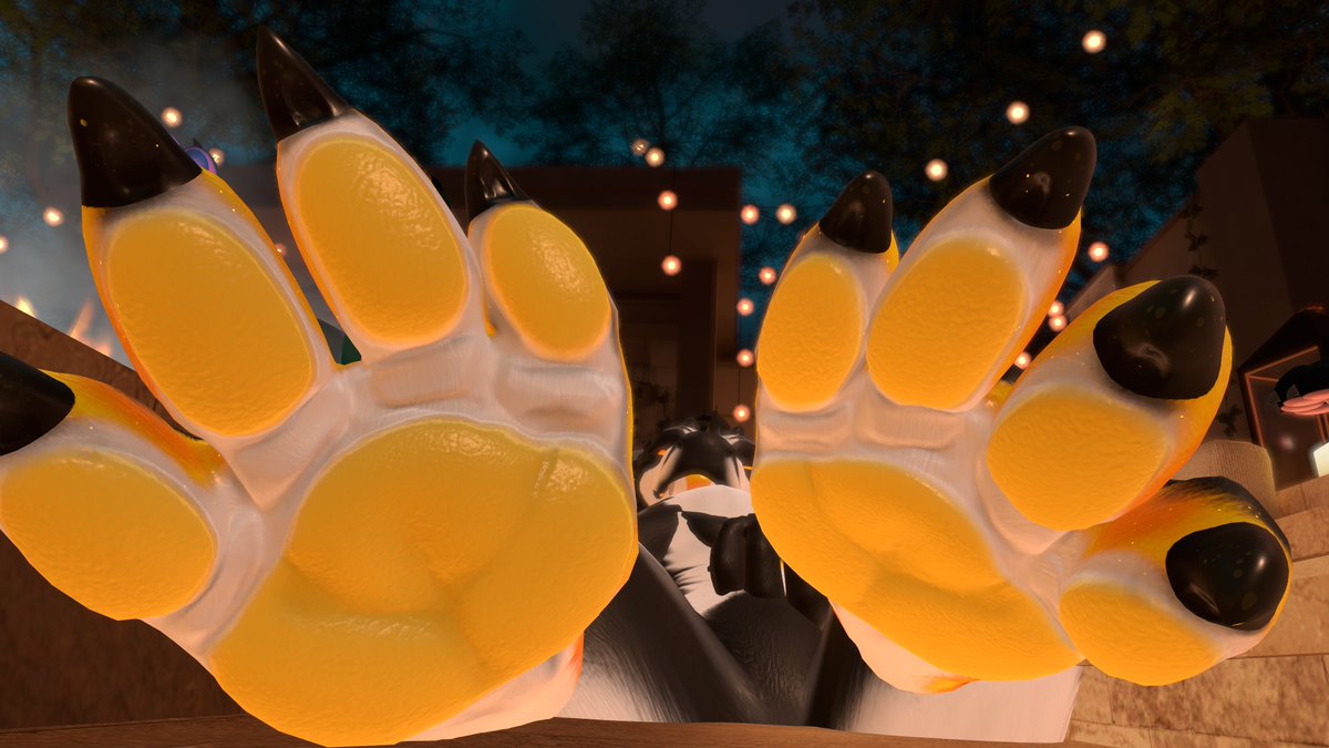 Renki, The floof that stare at your paws. tweet media