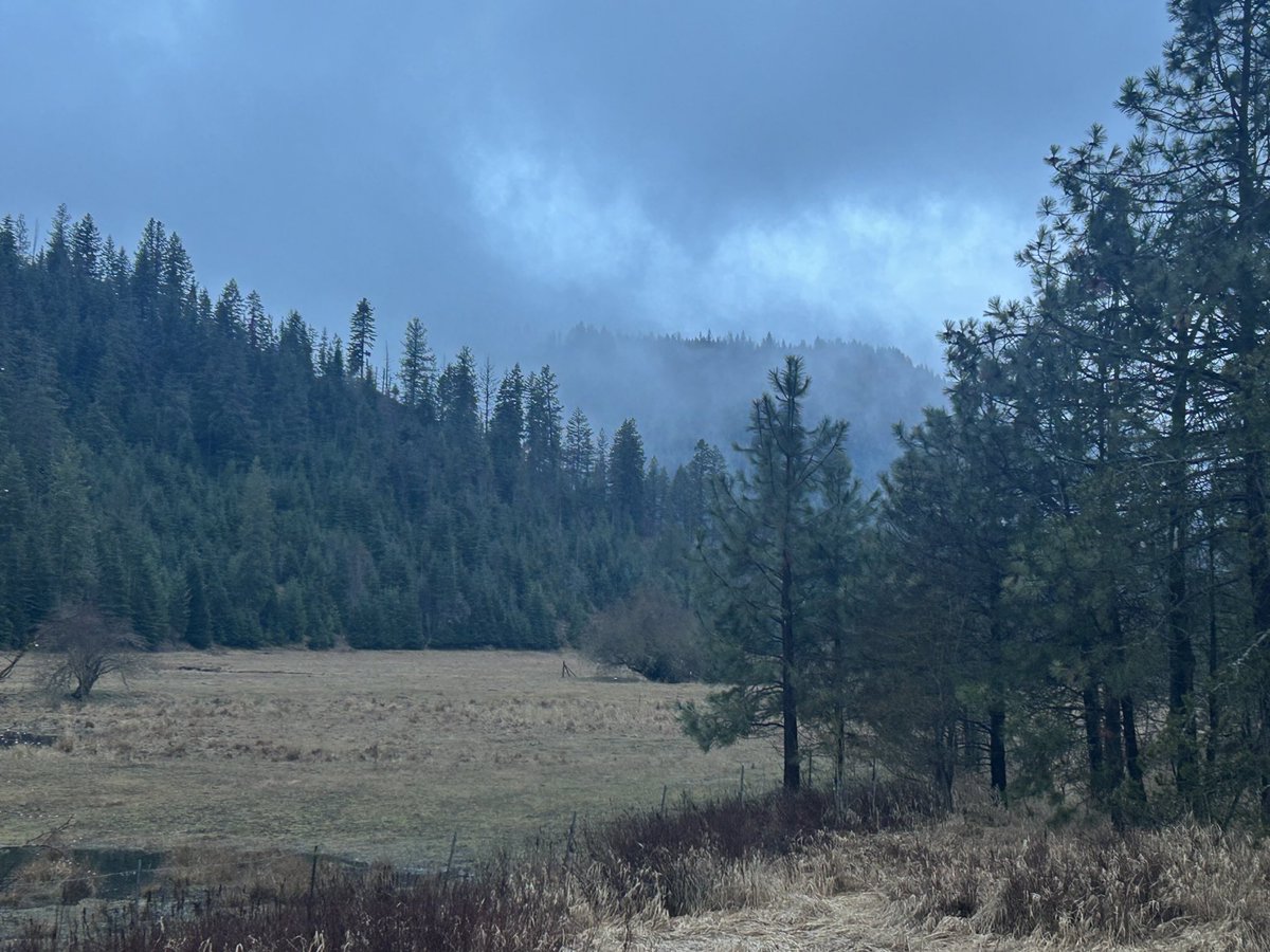 David L Matthie tweet media