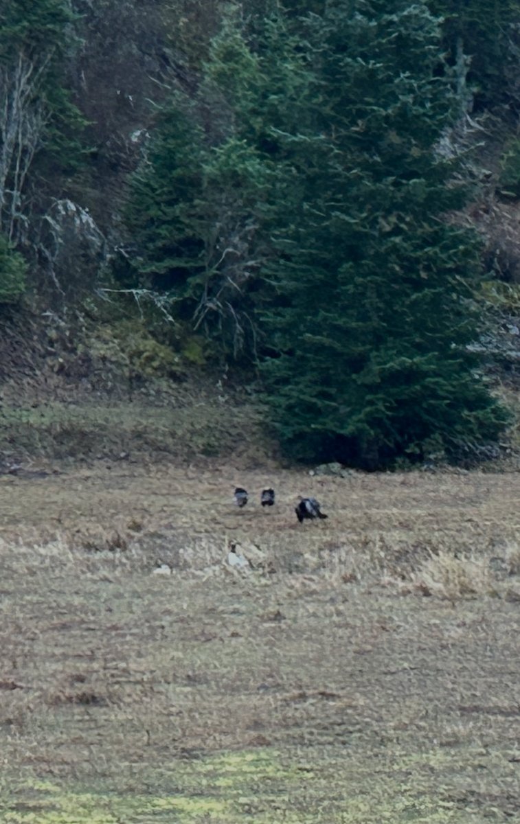 David L Matthie tweet media