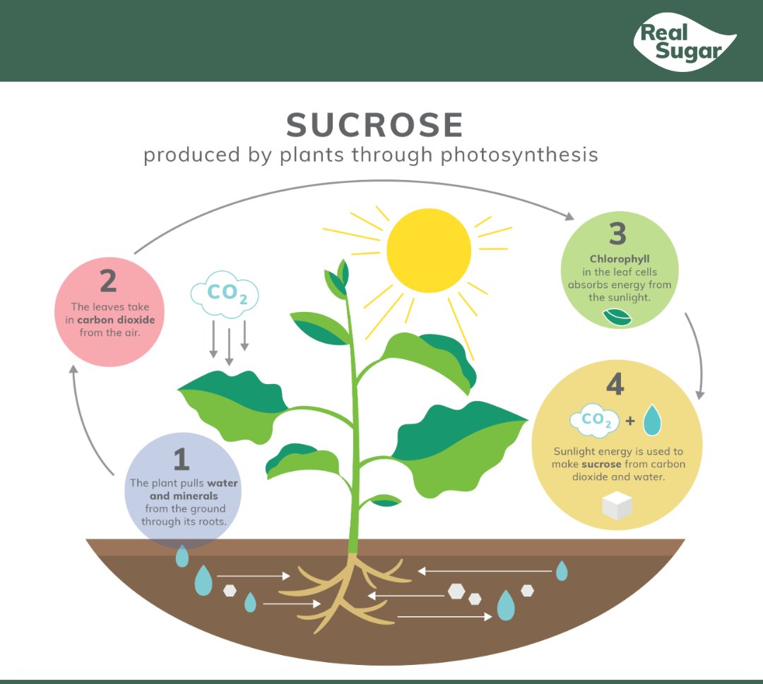 Minn-Dak Farmers Cooperative tweet media