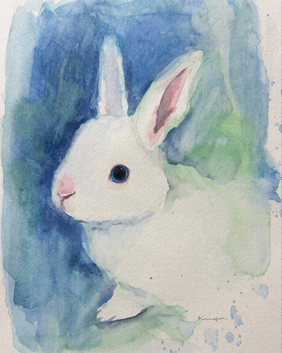 kamepon (@kamepon23) / Posts / X