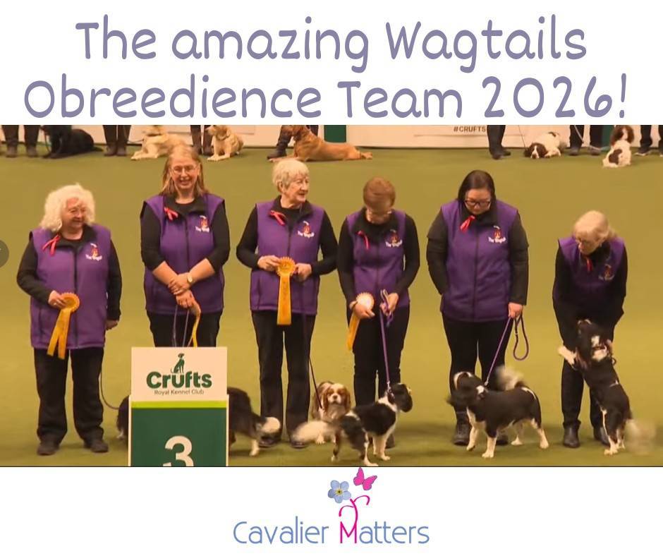 Cavalier Matters tweet media