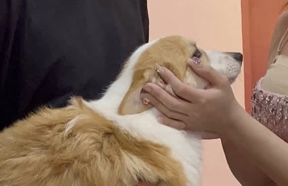 ang mga baby baby ni rabin