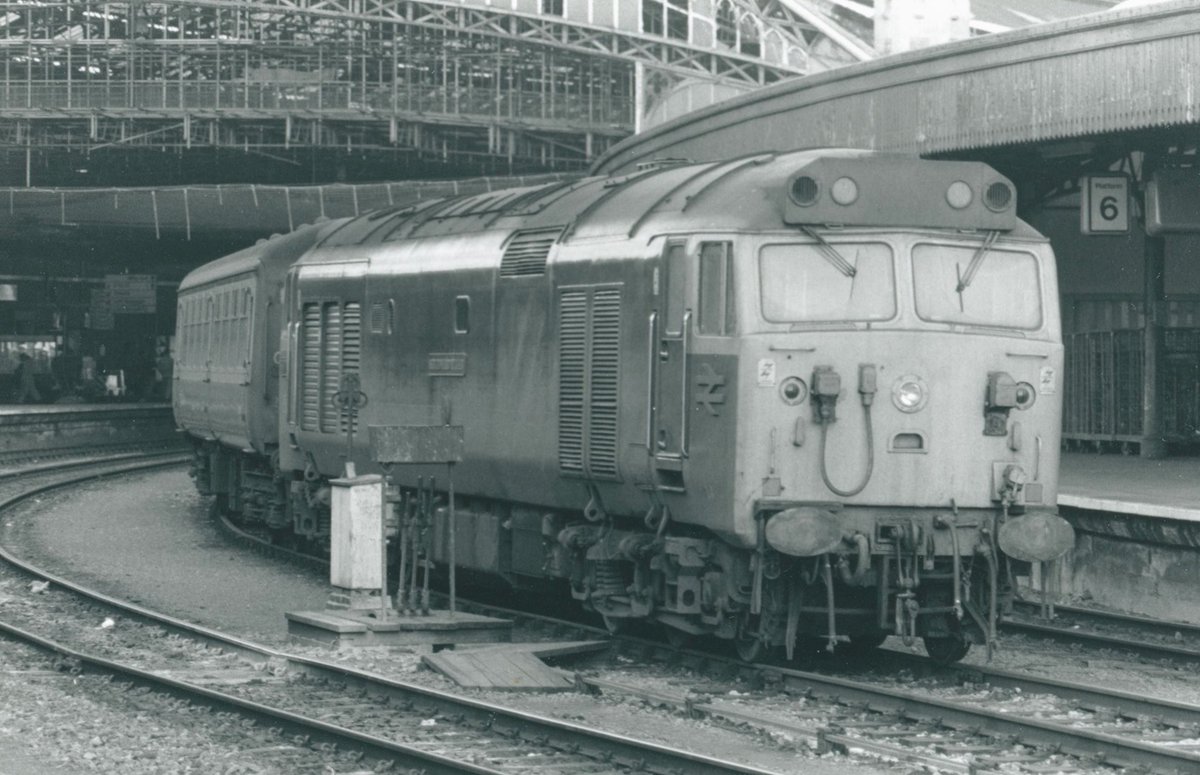 Nick the Pirate tweet media