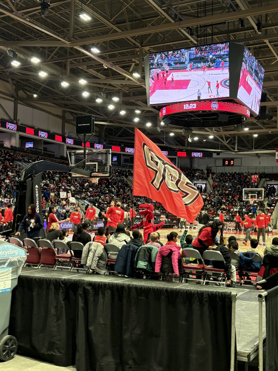 MadameSD tweet media