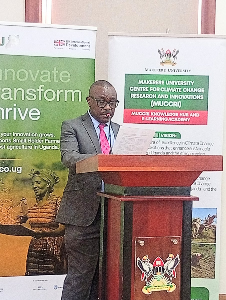 UgStandard tweet media