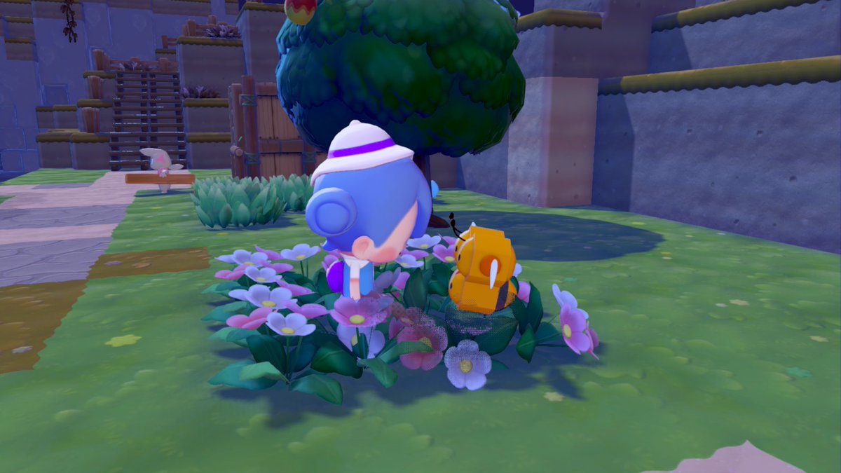 愛しのミツハニーちゃんに会えたので本日は寝ます🐝
ちゃんとメスなのかわよい*ˊᵕˋ*❤