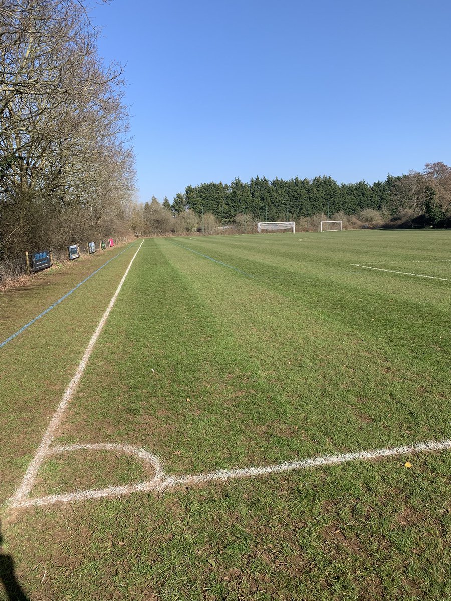 Shaun Soloman 💙 tweet media